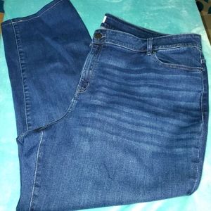 Lane bryant size  28